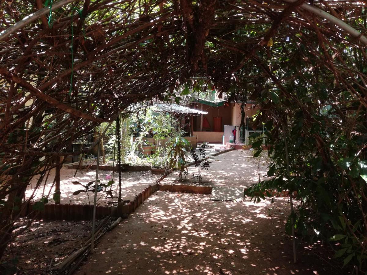 Sigiriya Freedom Lodge Дамбулла Екстер'єр фото