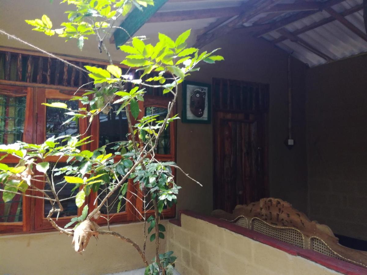 Sigiriya Freedom Lodge Дамбулла Екстер'єр фото