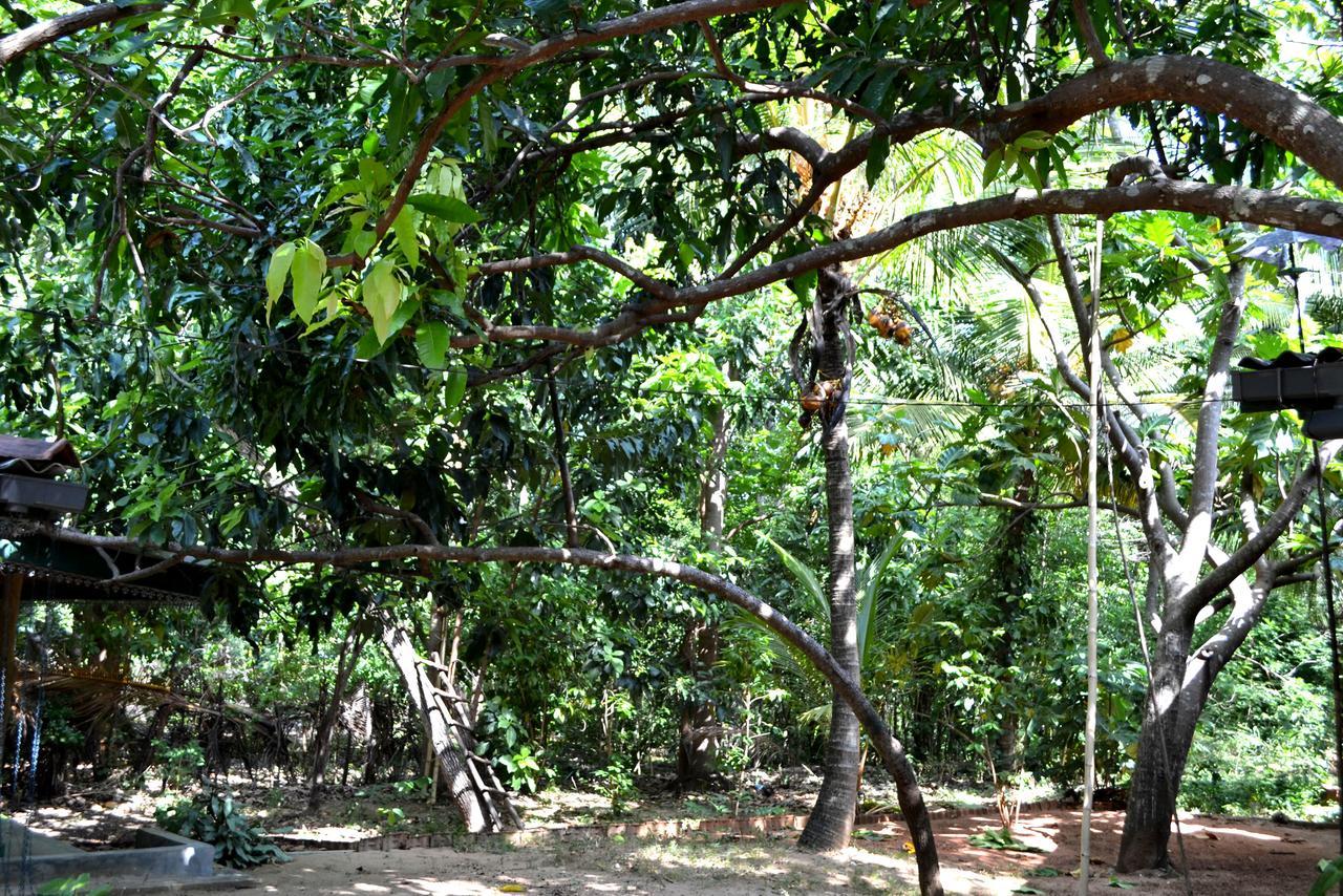Sigiriya Freedom Lodge Дамбулла Екстер'єр фото