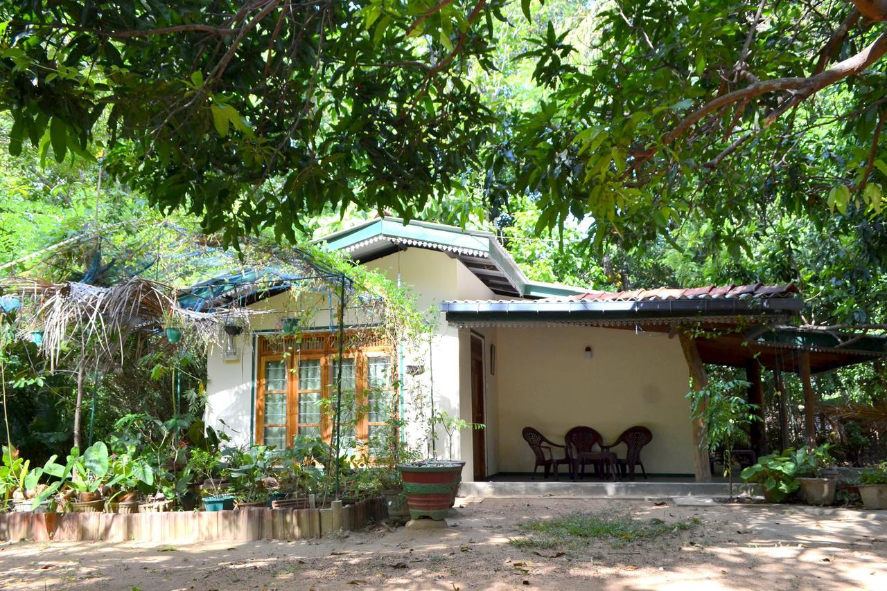 Sigiriya Freedom Lodge Дамбулла Екстер'єр фото