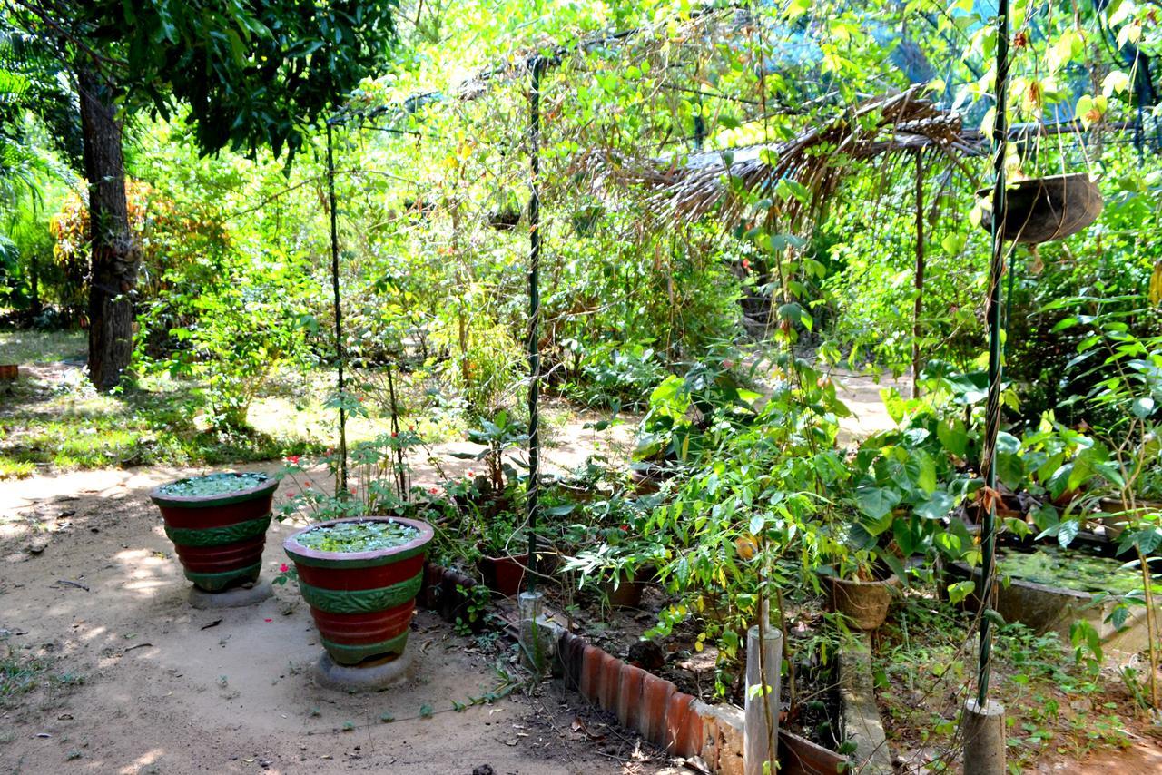 Sigiriya Freedom Lodge Дамбулла Екстер'єр фото