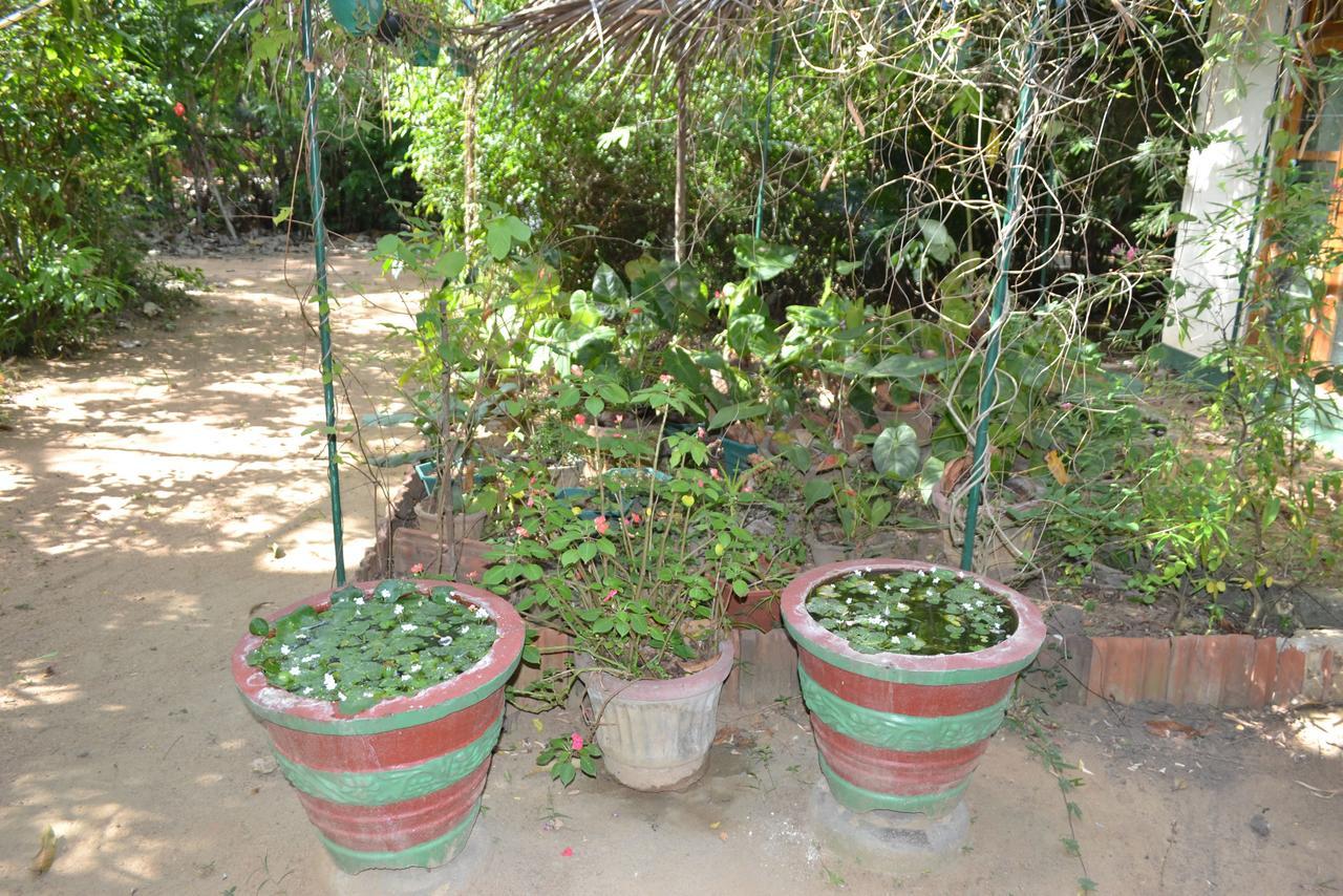 Sigiriya Freedom Lodge Дамбулла Екстер'єр фото