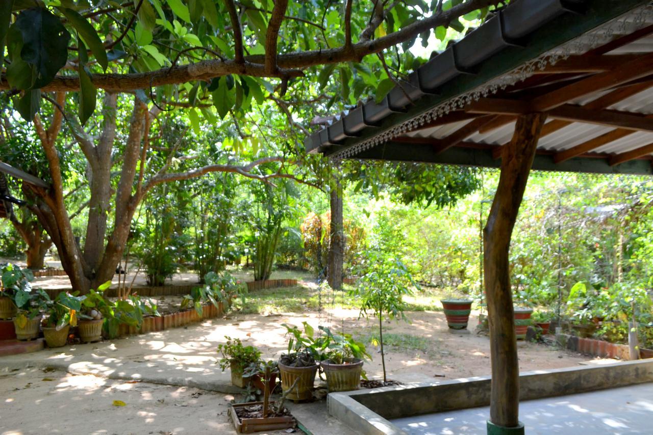Sigiriya Freedom Lodge Дамбулла Екстер'єр фото