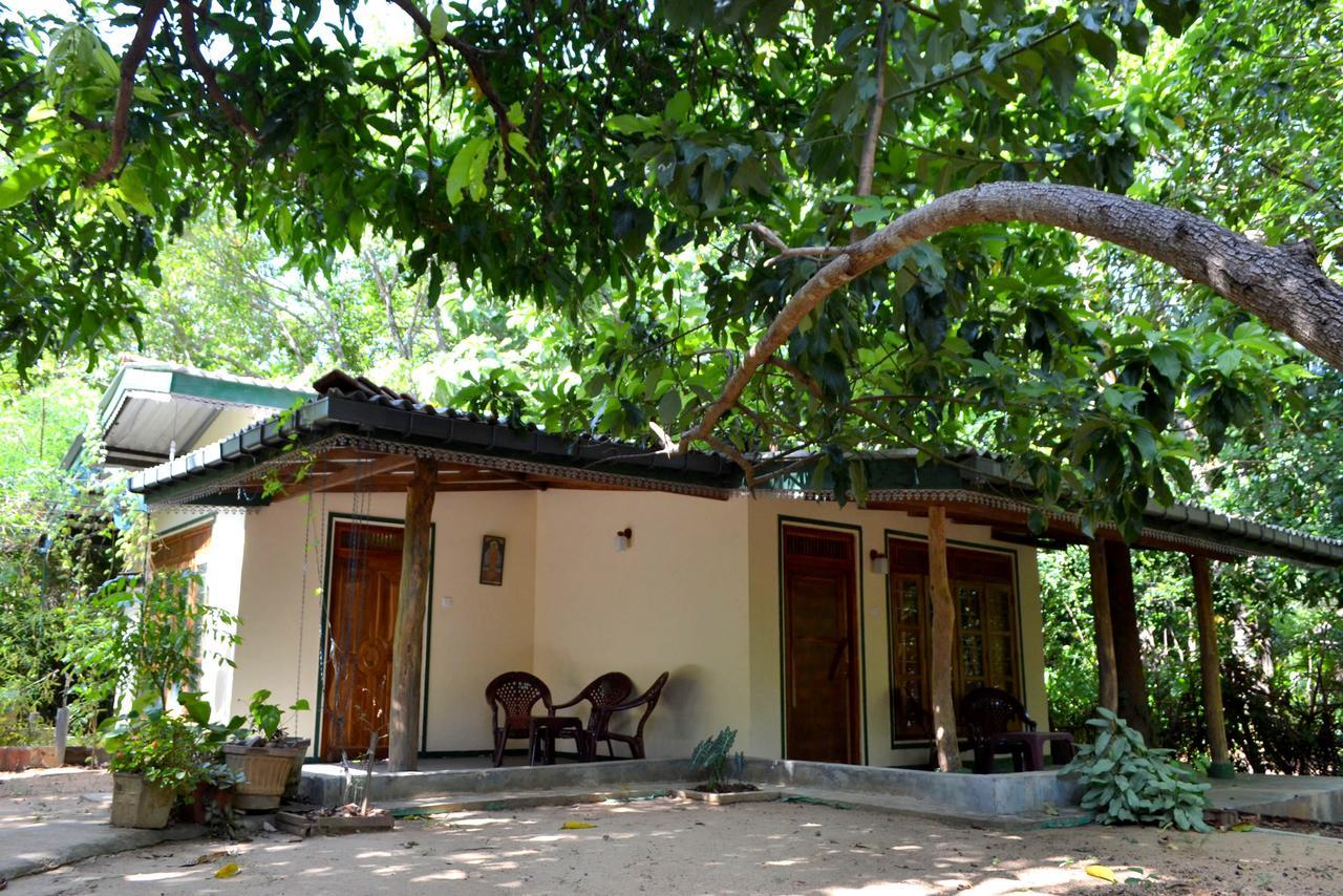 Sigiriya Freedom Lodge Дамбулла Екстер'єр фото