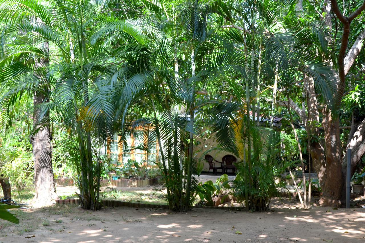 Sigiriya Freedom Lodge Дамбулла Екстер'єр фото