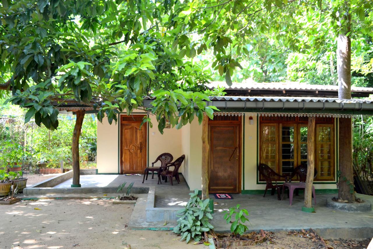 Sigiriya Freedom Lodge Дамбулла Екстер'єр фото